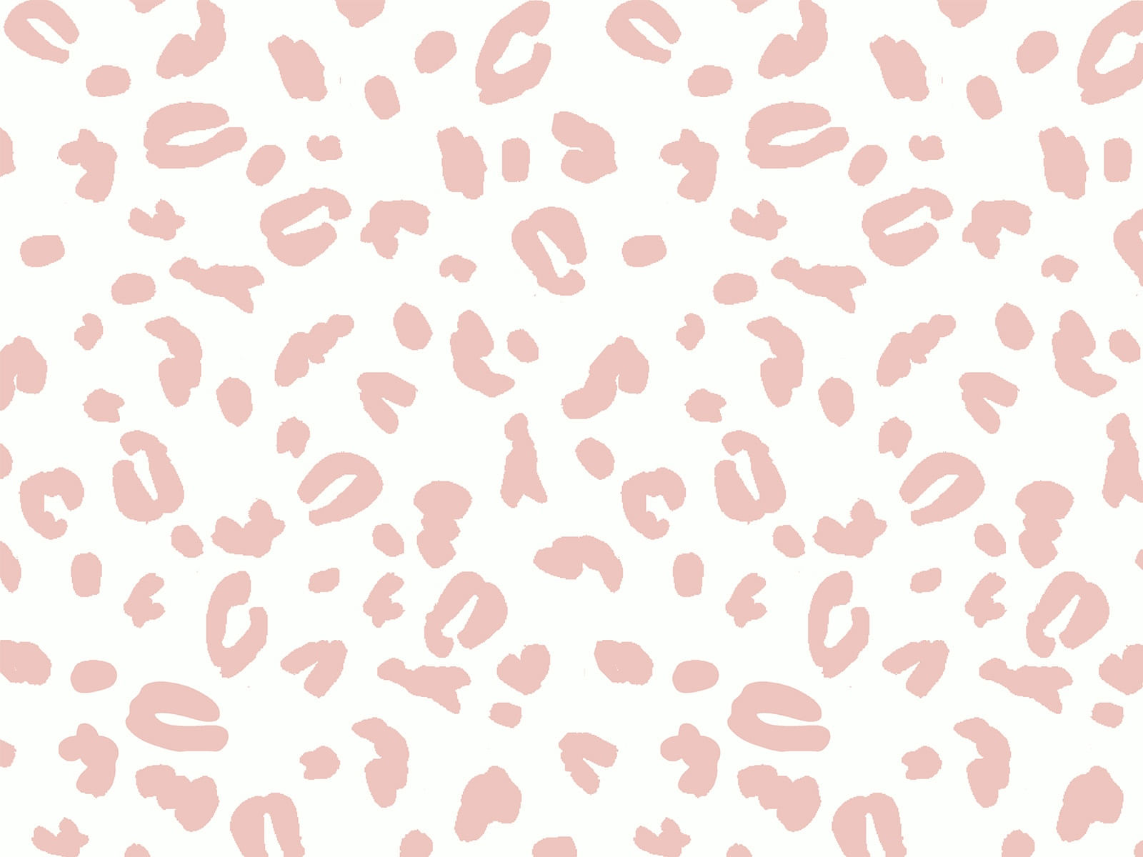IMAGE_L