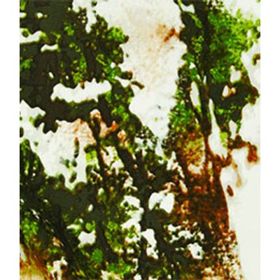 IMAGE_T
