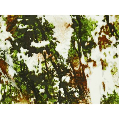 IMAGE_L
