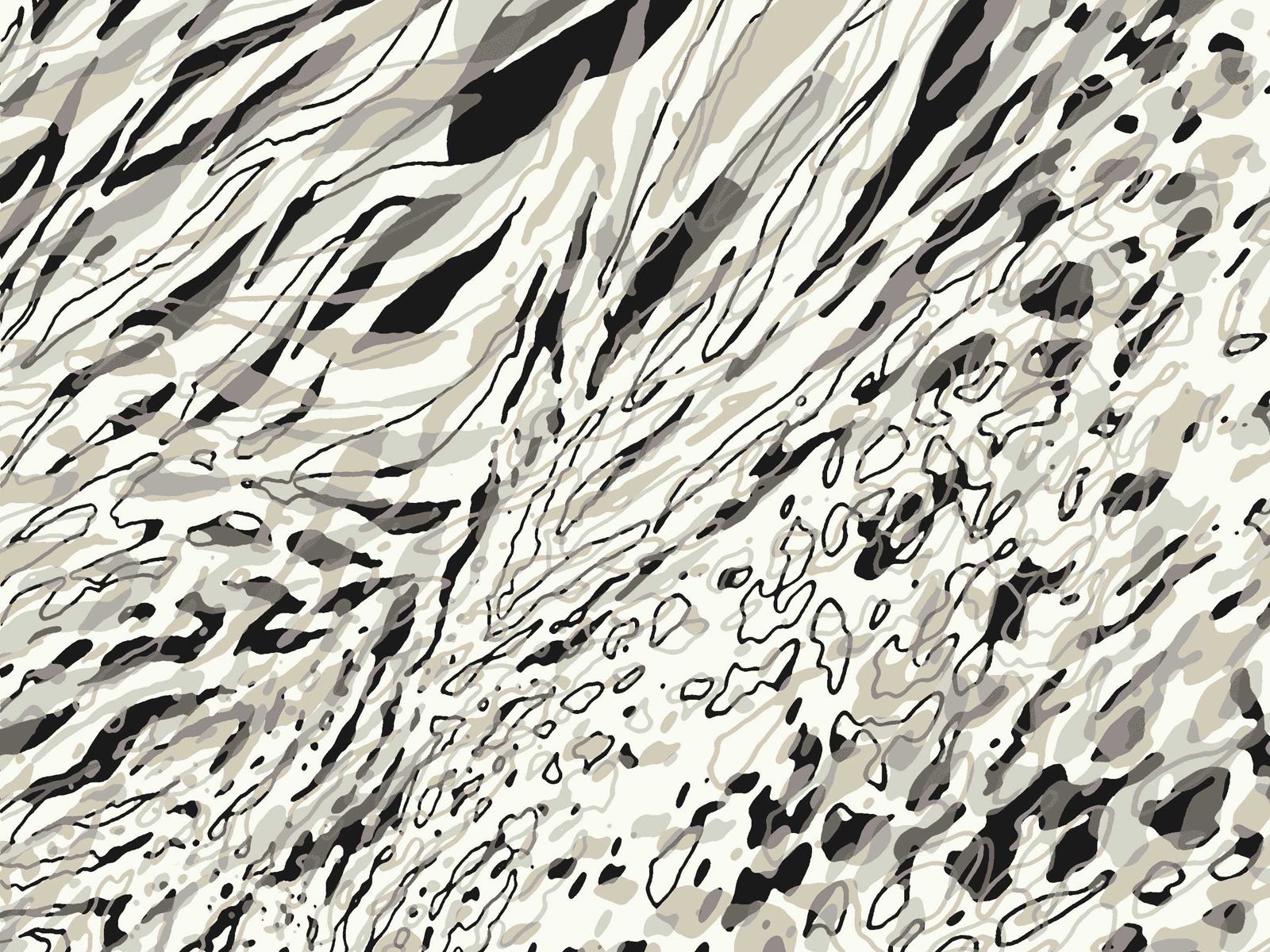 IMAGE_L