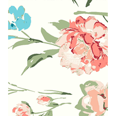 IMAGE_T