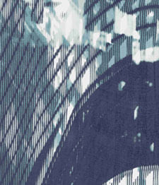 IMAGE_T