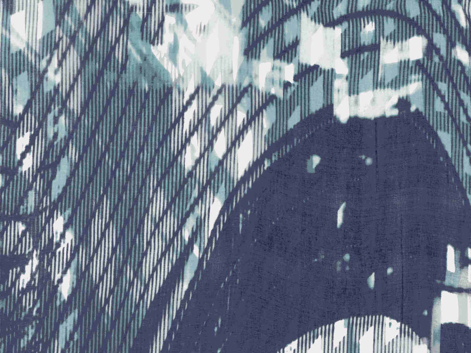 IMAGE_L