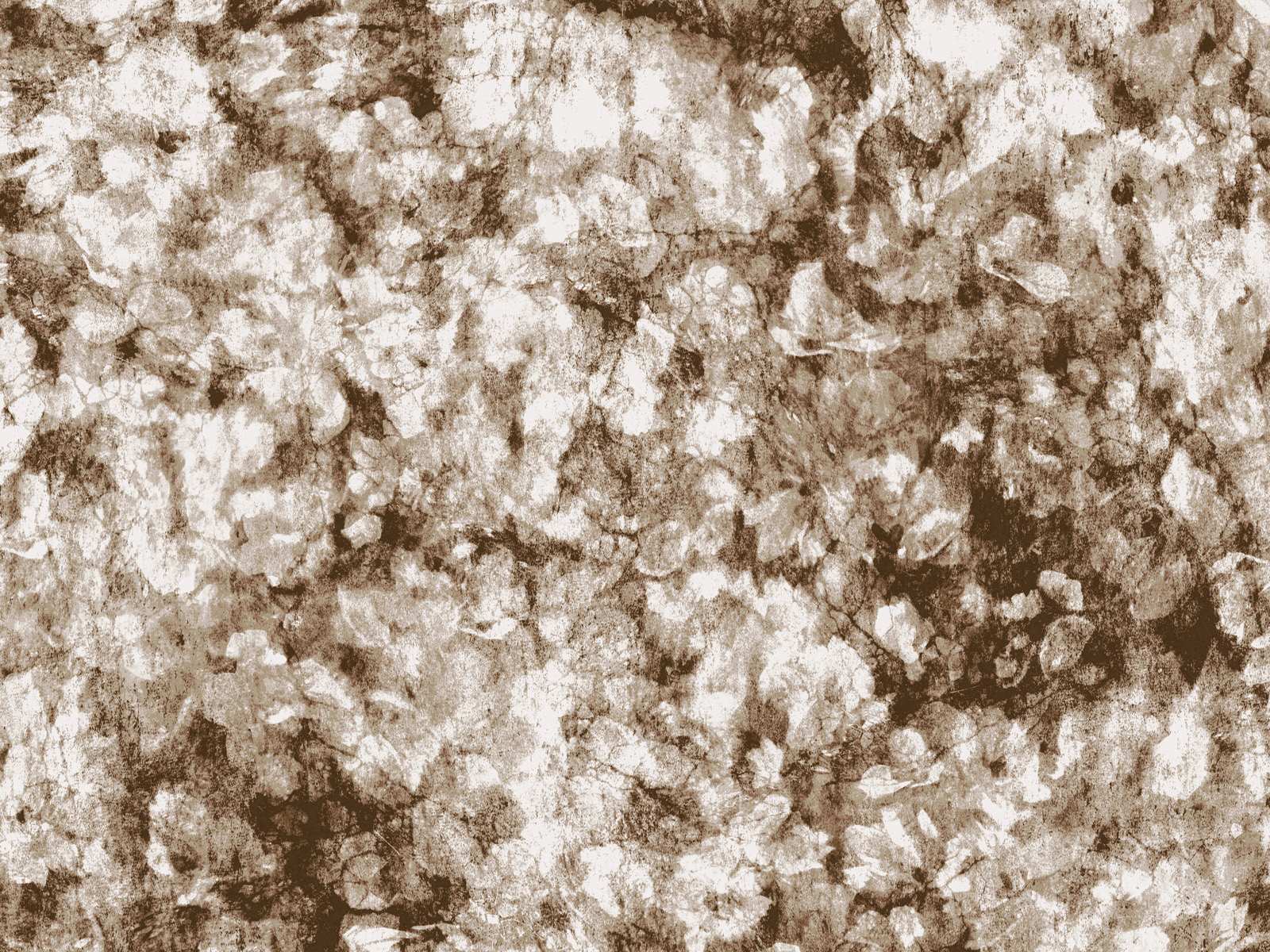 IMAGE_L