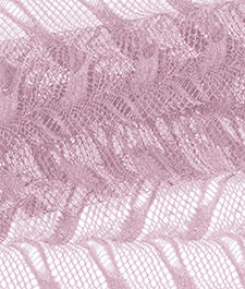 IMAGE_T