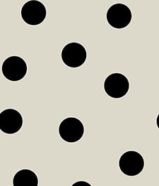 IMAGE_T