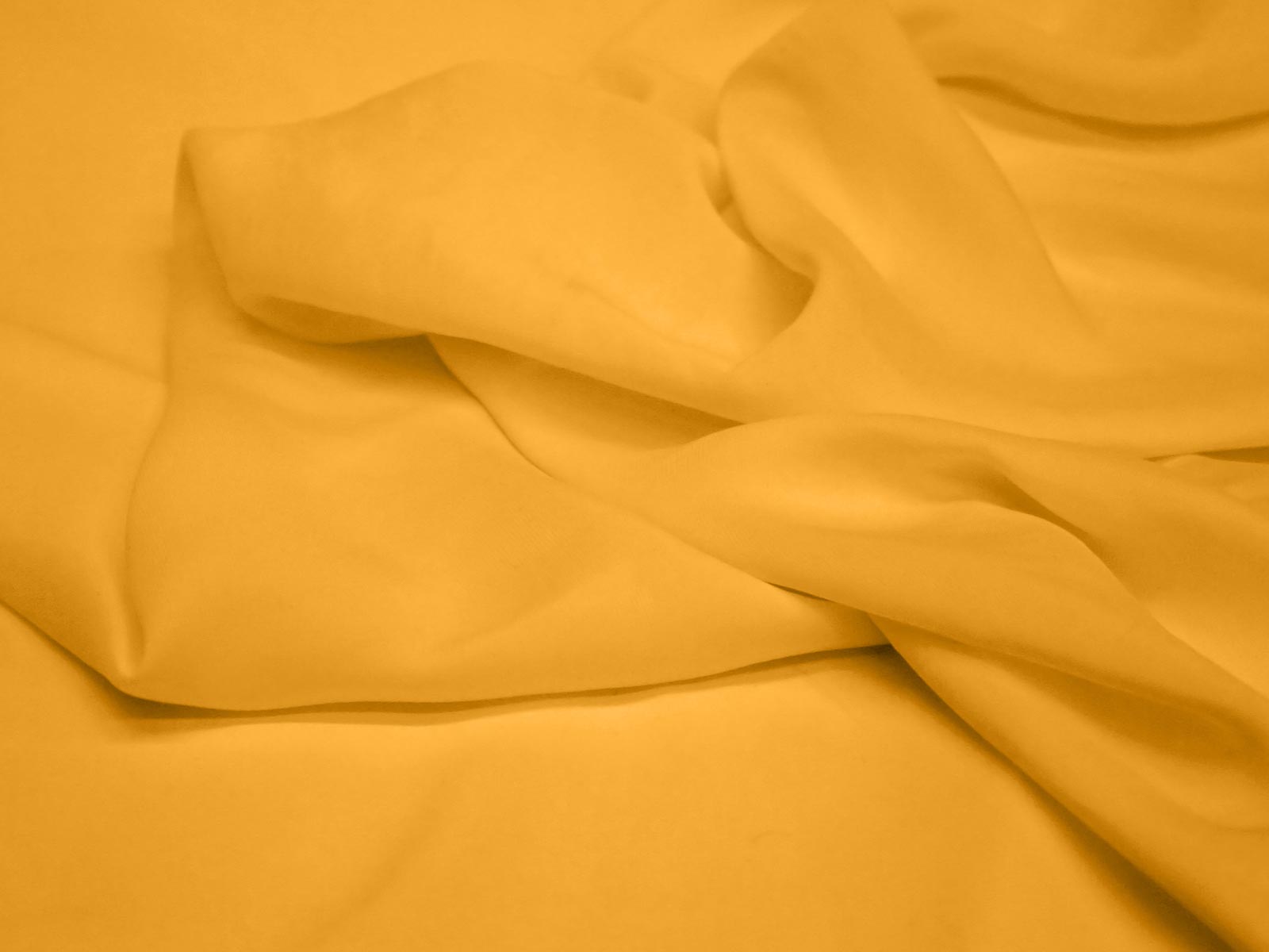 IMAGE_L