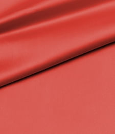 IMAGE_T