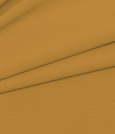 IMAGE_T
