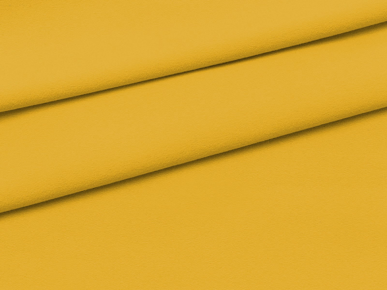 IMAGE_L