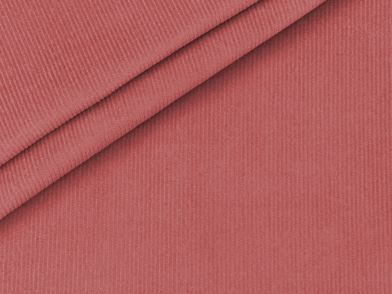 IMAGE_L