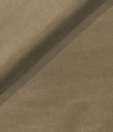IMAGE_T