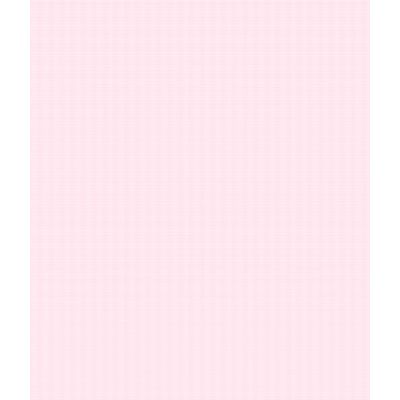 IMAGE_T