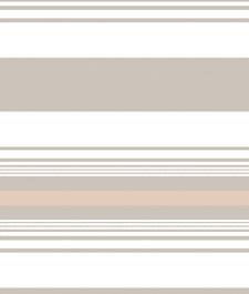 IMAGE_T