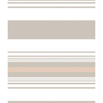 IMAGE_T