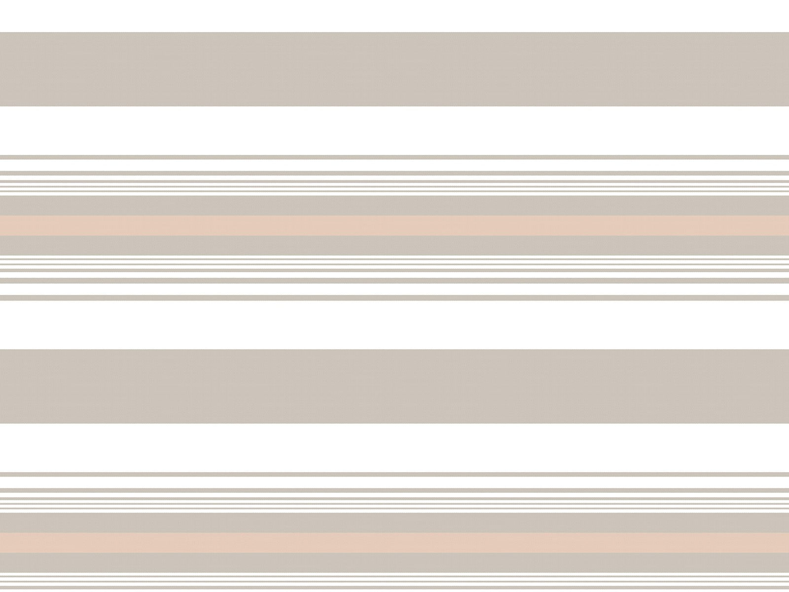 IMAGE_L