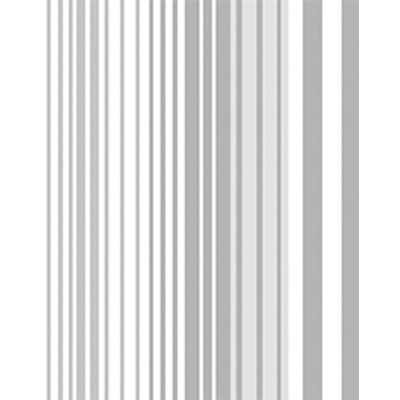 IMAGE_T