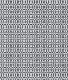 IMAGE_T