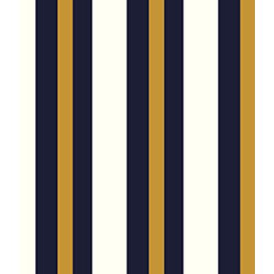 IMAGE_T