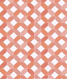 IMAGE_T