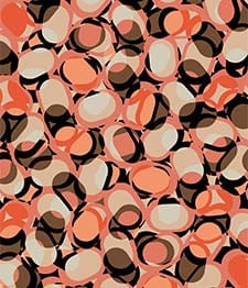 IMAGE_T