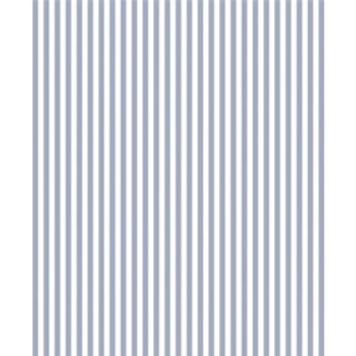 IMAGE_T