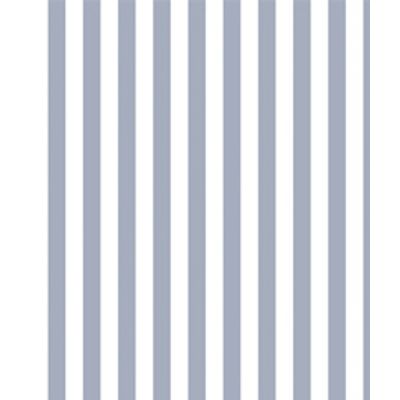 IMAGE_T
