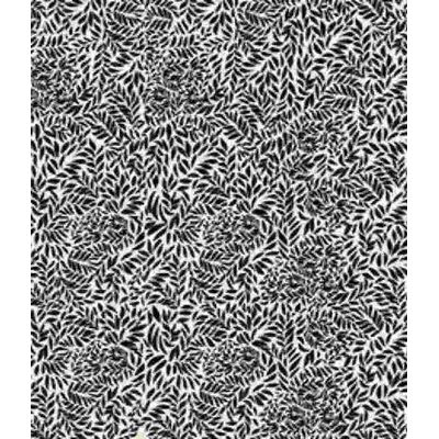 IMAGE_T