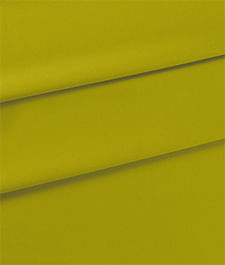 IMAGE_T