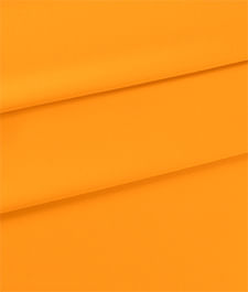 IMAGE_T