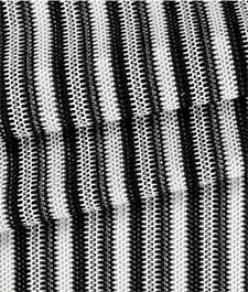IMAGE_T