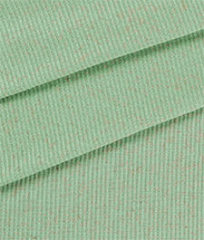 IMAGE_T