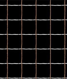 IMAGE_T