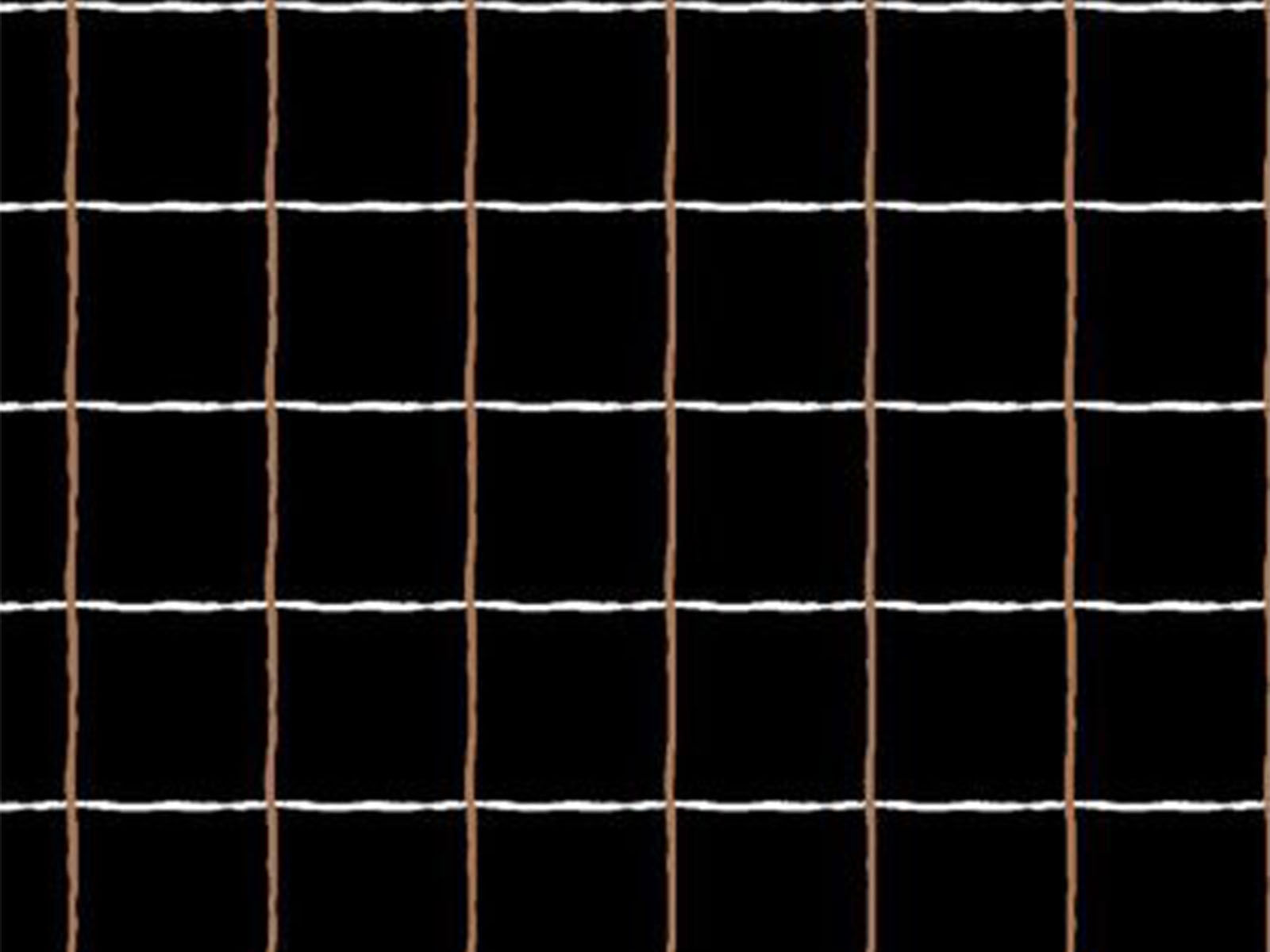 IMAGE_L