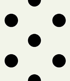 IMAGE_T