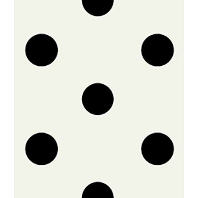 IMAGE_T