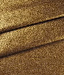 IMAGE_T