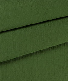 IMAGE_T