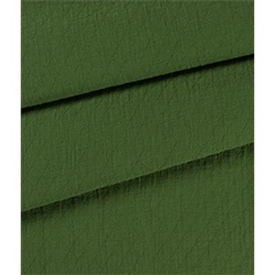 IMAGE_T