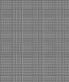 IMAGE_T