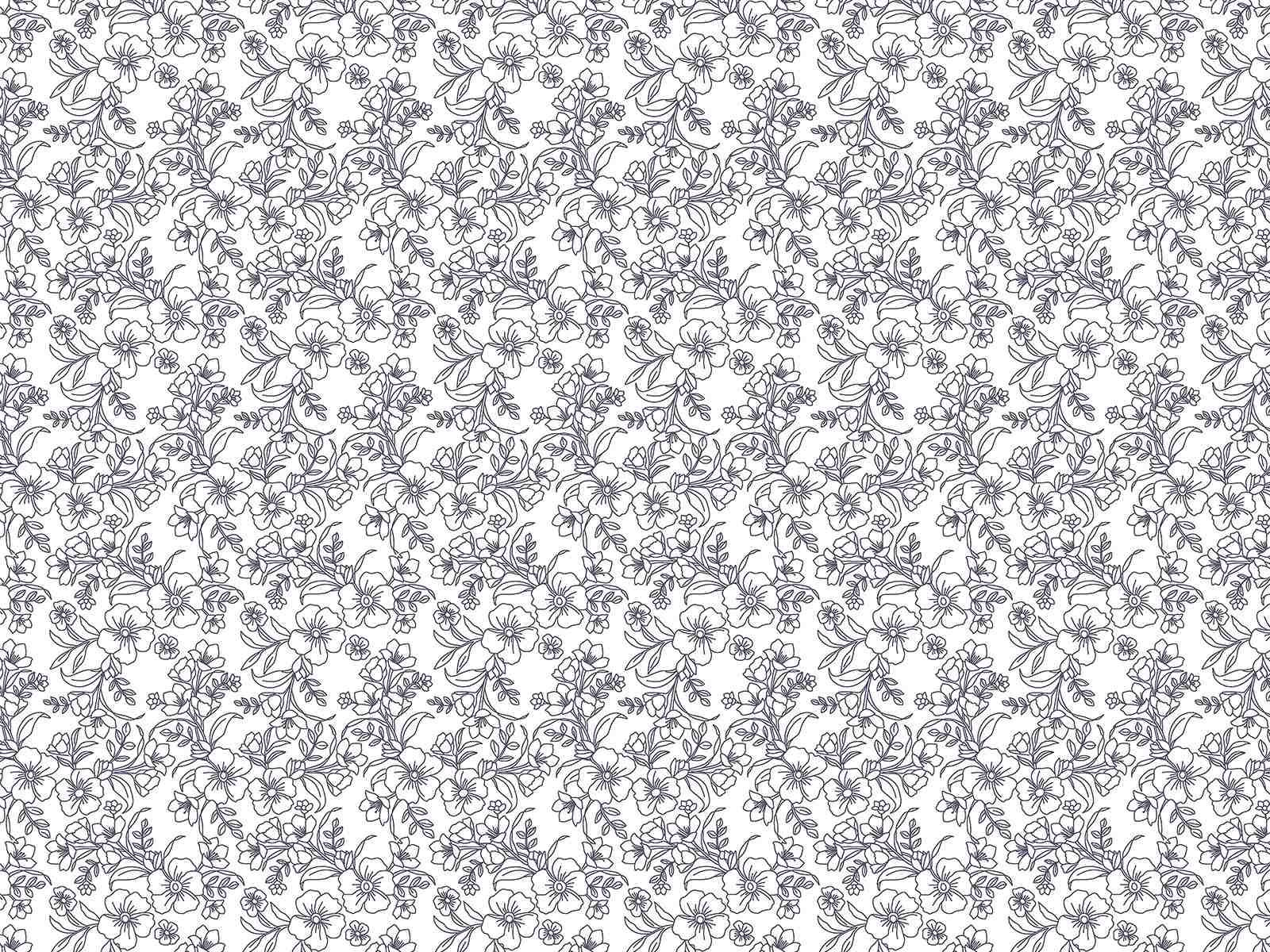 IMAGE_L