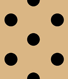 IMAGE_T