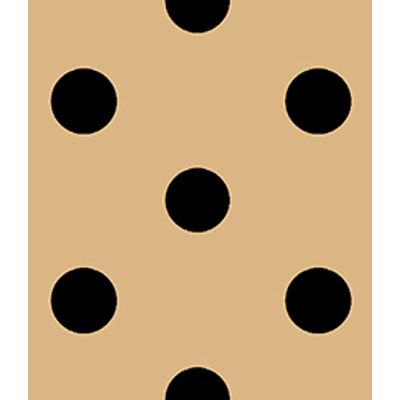 IMAGE_T