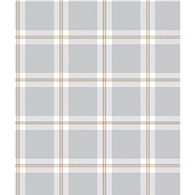 IMAGE_T