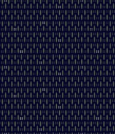 IMAGE_T