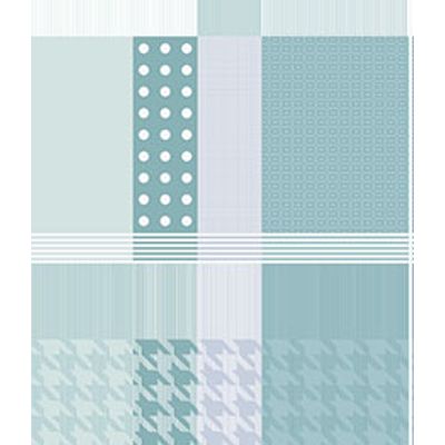 IMAGE_T