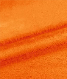 IMAGE_T
