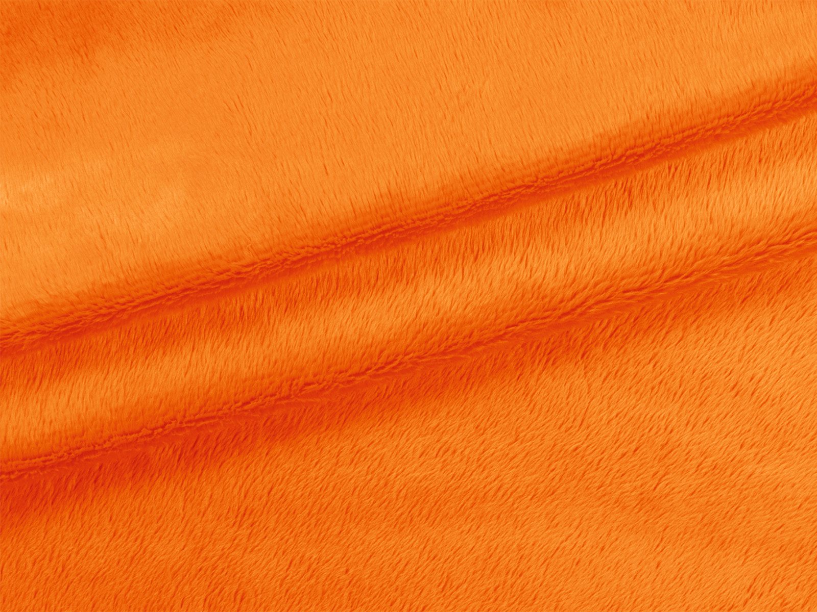 IMAGE_L