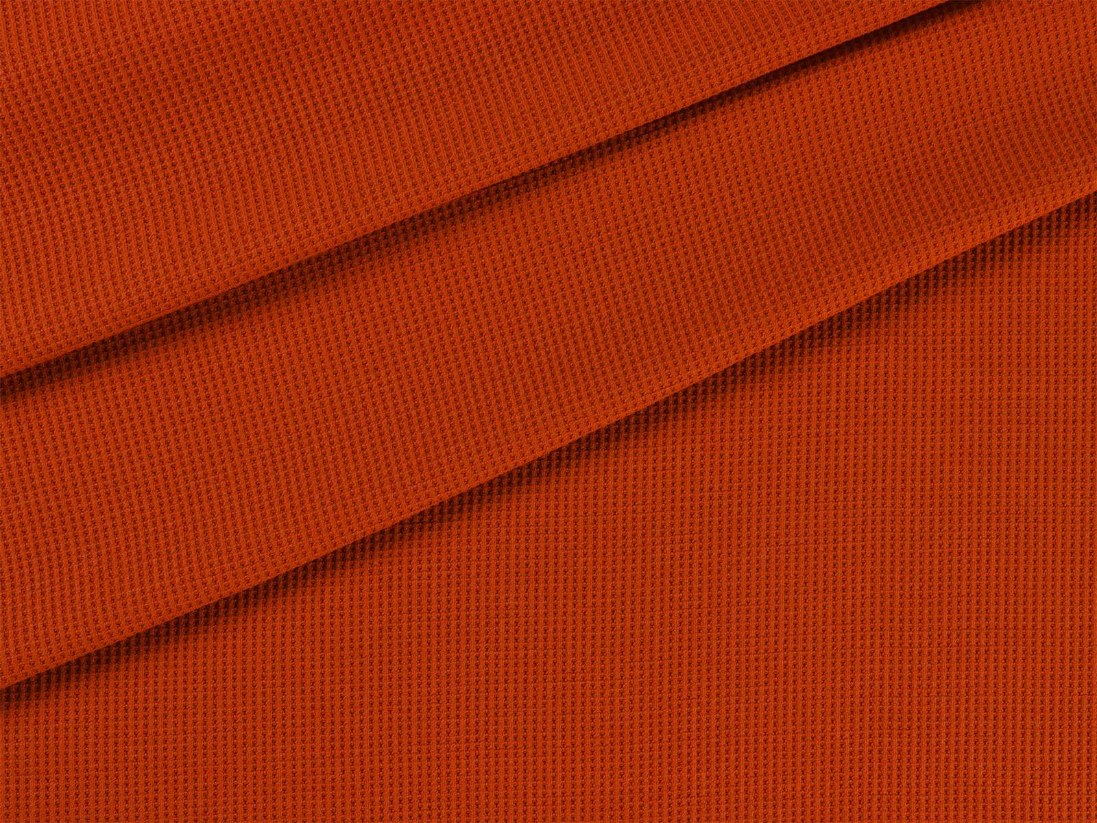 IMAGE_L