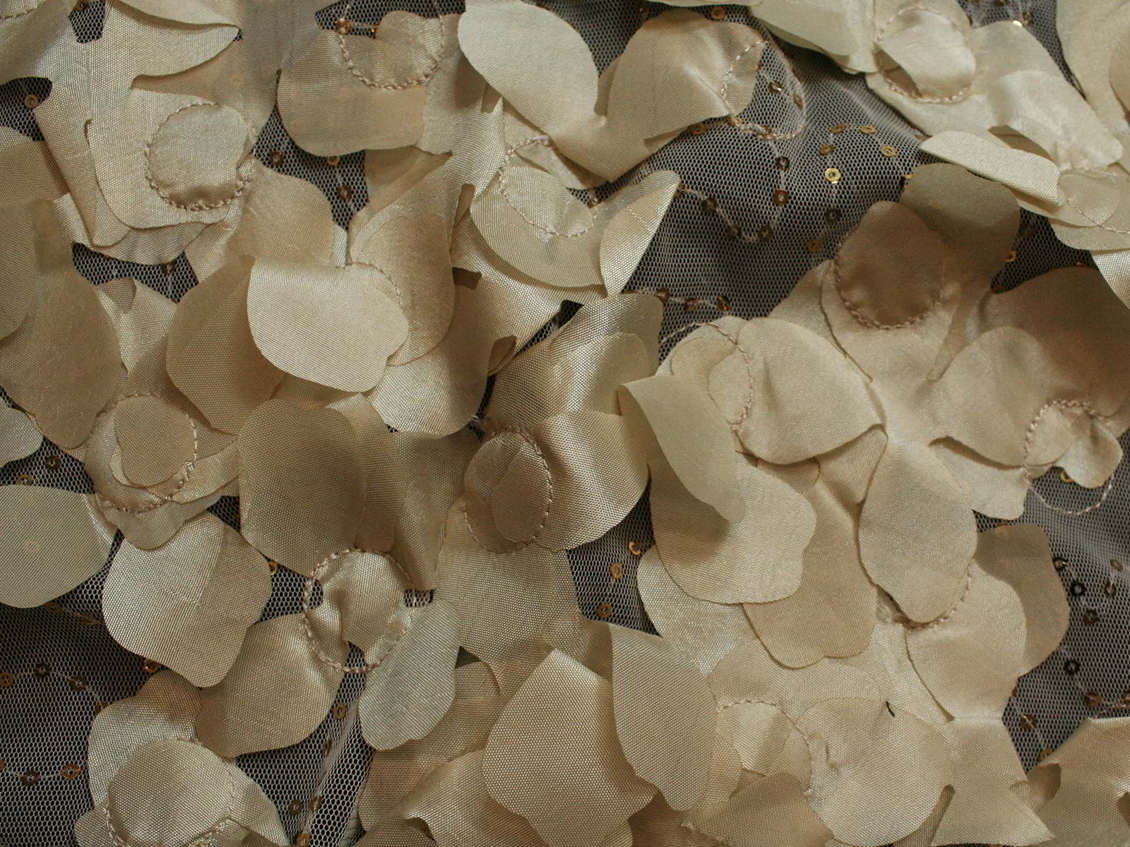 IMAGE_L